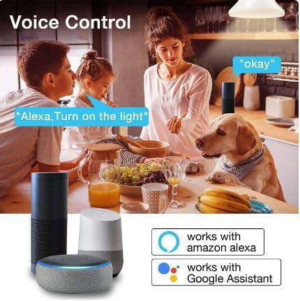 LAMPADINA SMART DIMMERABILE E27 - WIFI 2.4GHZ COMPATIBILE CON ALEXA GOOGLE HOME