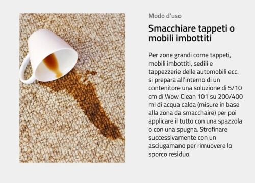 SMACCHIATORE ISTANTANEO PER TESSUTI - WOW Clean