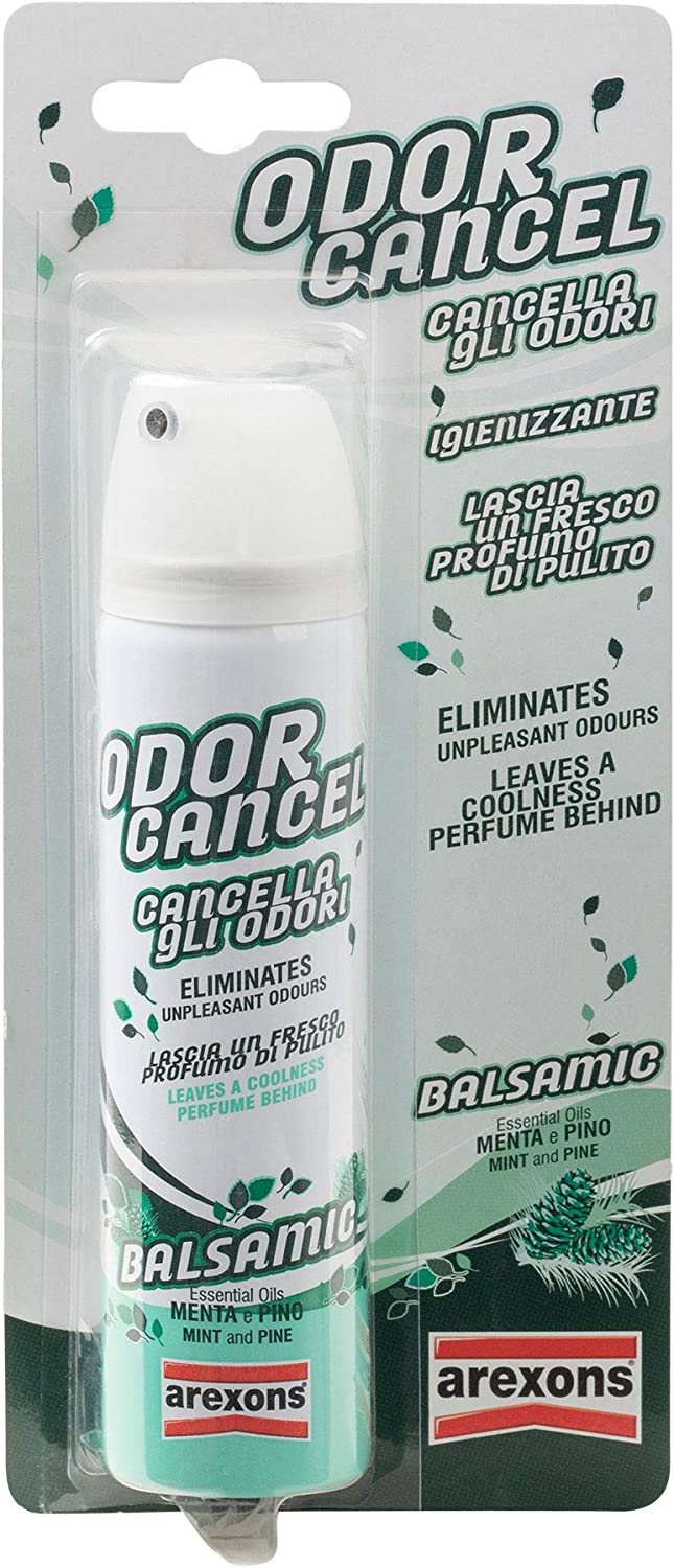 IGIENIZZANTE AUTO ABITACOLO FRAGRANZA BALSAMIC, PROFUMATORE AUTO ELIMINA ODORI, TRATTAMENTO ABITACOLO IGIENIZZANTE E SANIFICANTE, PER AMBIENTE INTERNO E SUPERFICI IN TESSUTO